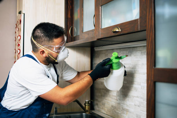 Best Bed Bug Extermination  in Milwaukee, WI