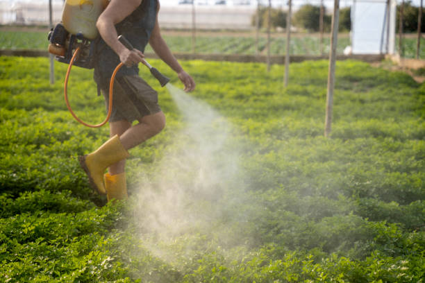 Best Affordable Pest Control Services  in Milwaukee, WI