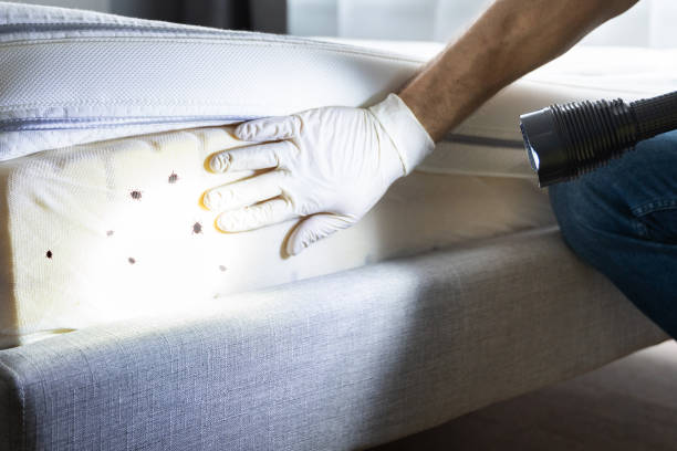Pest Control Cost in Milwaukee, WI