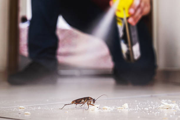 Best Pest Control Near Me in Milwaukee, WI