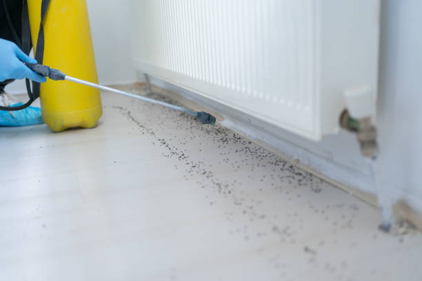 Best Cockroach Control Services  in Milwaukee, WI