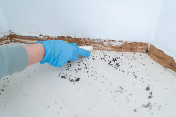 Best Pest Removal Services  in Milwaukee, WI