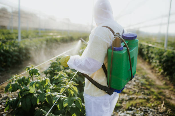Best Best Pest Control Near Me  in Milwaukee, WI